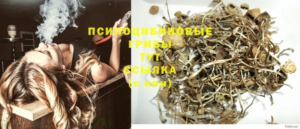 кокс Арсеньев