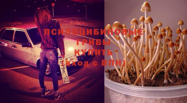 кокс Арсеньев