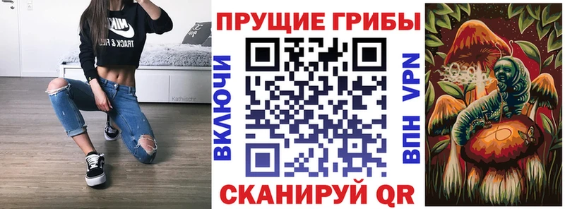 даркнет сайт  Дорогобуж  Псилоцибиновые грибы MAGIC MUSHROOMS 
