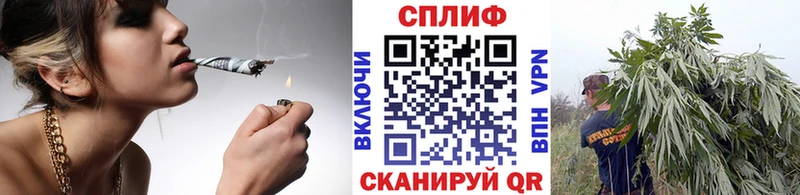 Канабис White Widow Дорогобуж